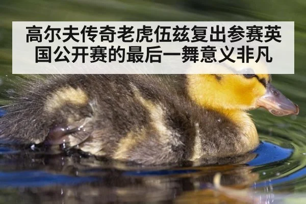 高尔夫传奇老虎伍兹复出参赛英国公开赛的最后一舞意义非凡
